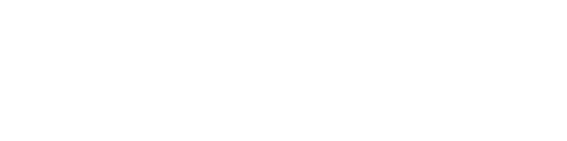 Service